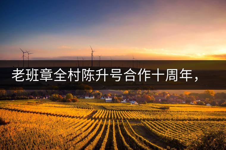 老班章全村陳升號(hào)合作十周年，贈(zèng)送千兩百家茶