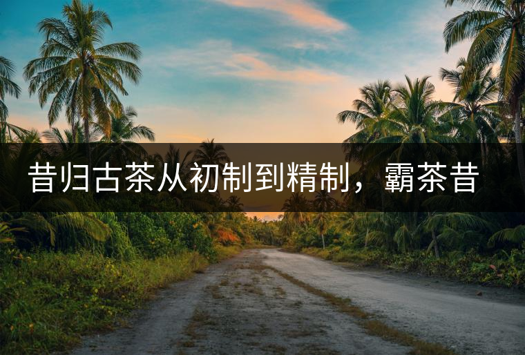 昔歸古茶從初制到精制，霸茶昔歸茶農(nóng)專業(yè)合作社成立