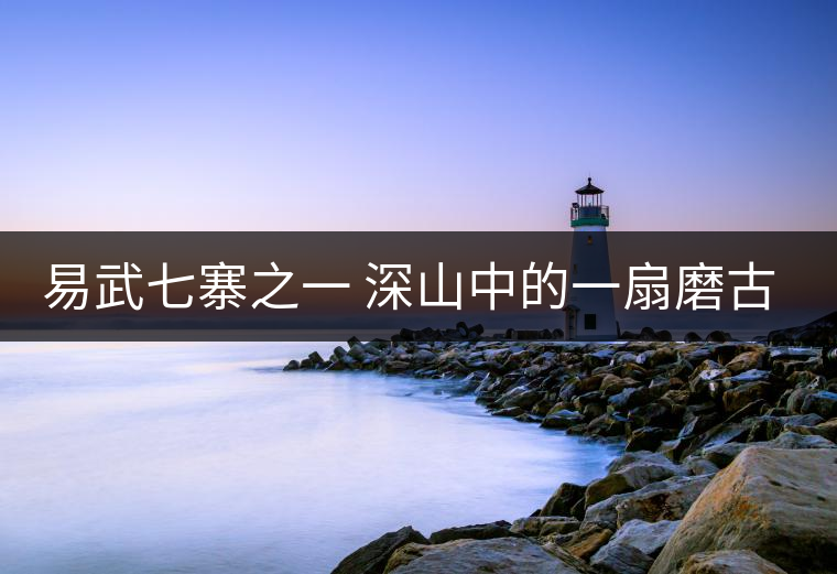 易武七寨之一 深山中的一扇磨古樹(shù)普洱生茶