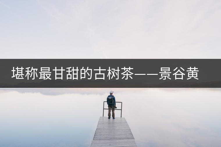 堪稱(chēng)最甘甜的古樹(shù)茶——景谷黃草壩普洱茶