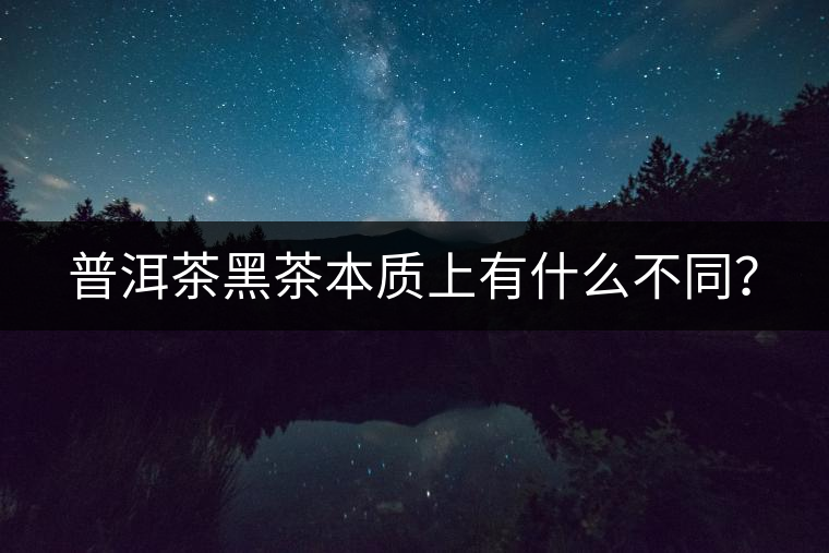 普洱茶黑茶本質(zhì)上有什么不同？