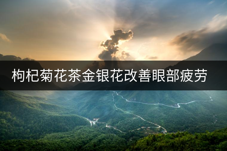 枸杞菊花茶金銀花改善眼部疲勞很突出？