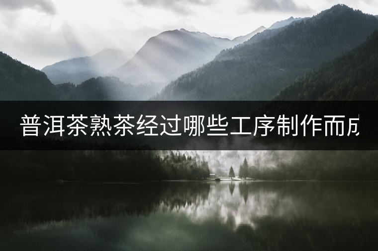 普洱茶熟茶經(jīng)過哪些工序制作而成？