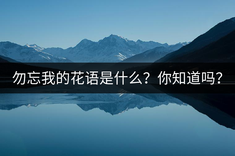 勿忘我的花語是什么？你知道嗎？