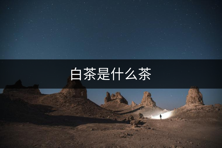 白茶是什么茶 白茶是什么茶