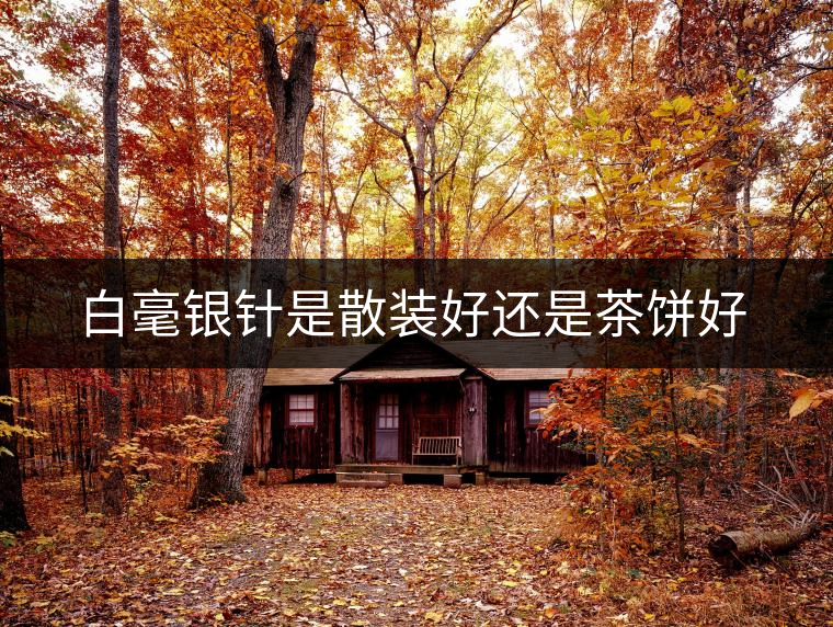 白毫銀針是散裝好還是茶餅好 白毫銀針是散裝好還是茶餅好