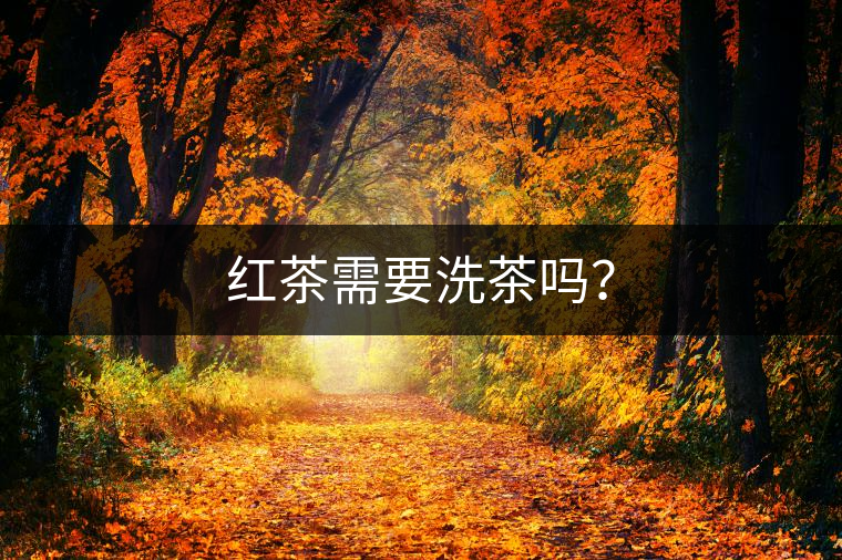 紅茶需要洗茶嗎？
