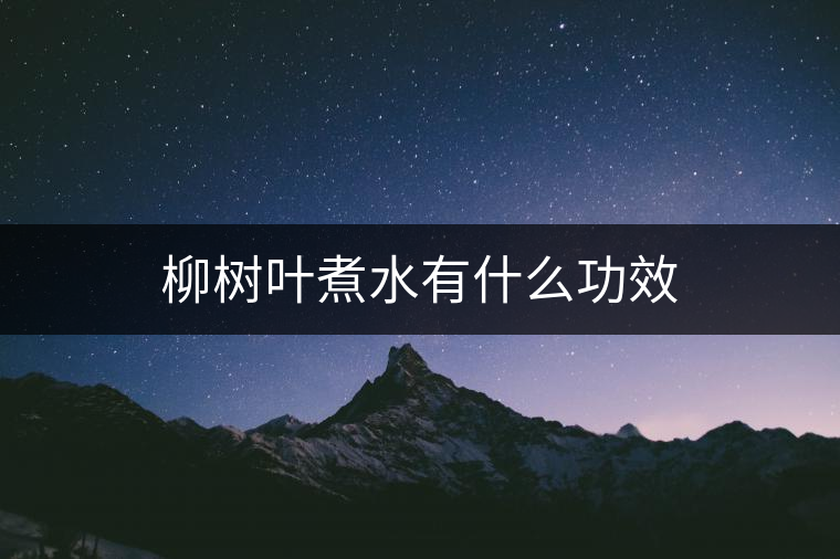 柳樹葉煮水有什么功效 柳樹葉煮水有什么功效