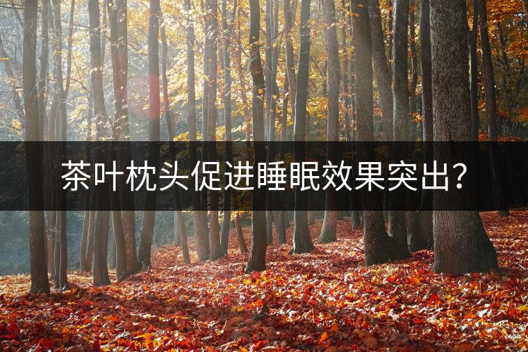 茶葉枕頭促進(jìn)睡眠效果突出? 茶葉枕頭促進(jìn)睡眠效果突出?