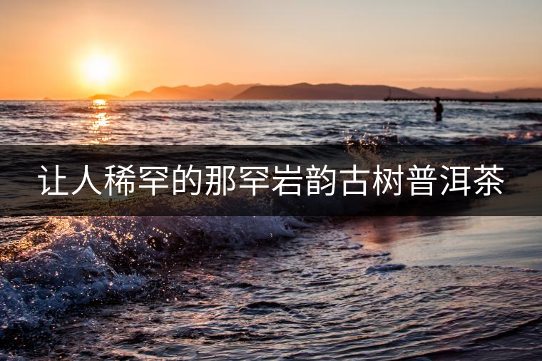 讓人稀罕的那罕巖韻古樹(shù)普洱茶 讓人稀罕的那罕巖韻古樹(shù)普洱茶
