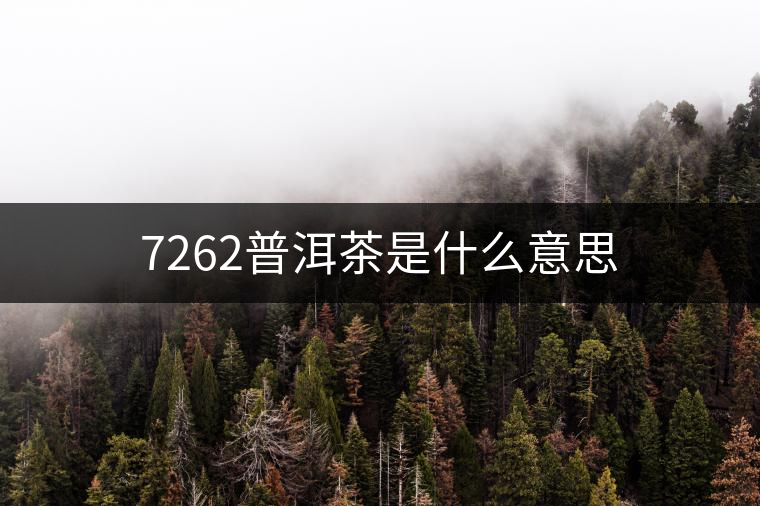 7262普洱茶是什么意思 7262普洱茶是什么意思