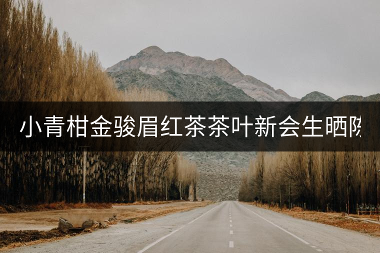 小青柑金駿眉紅茶茶葉新會(huì)生曬陳皮2020武夷濃香型木冠散裝罐裝