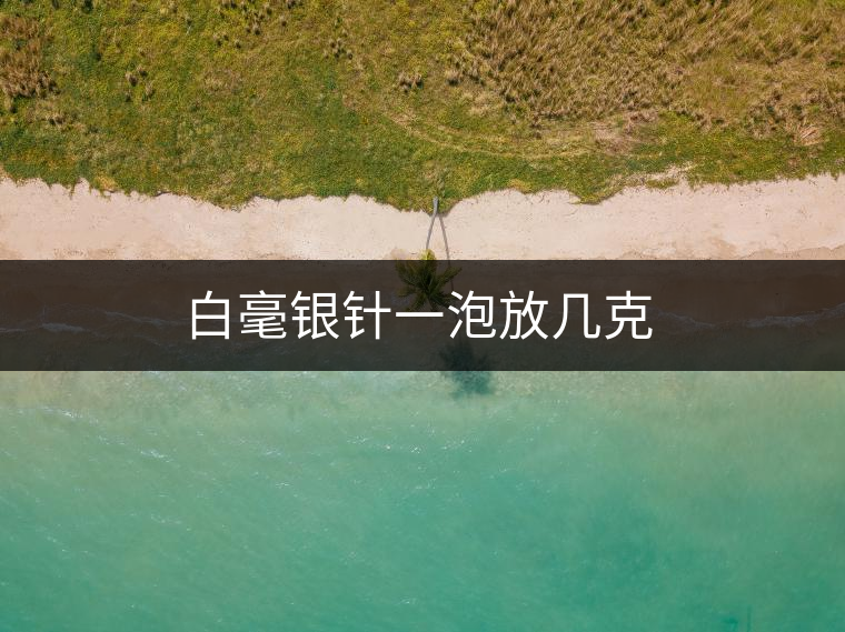 白毫銀針一泡放幾克