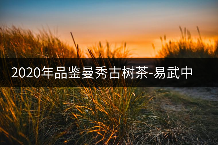 2020年品鑒曼秀古樹(shù)茶-易武中聘號(hào) 2020年品鑒曼秀古樹(shù)茶-易武中聘號(hào)