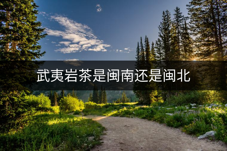 武夷巖茶是閩南還是閩北 武夷巖茶是閩南還是閩北