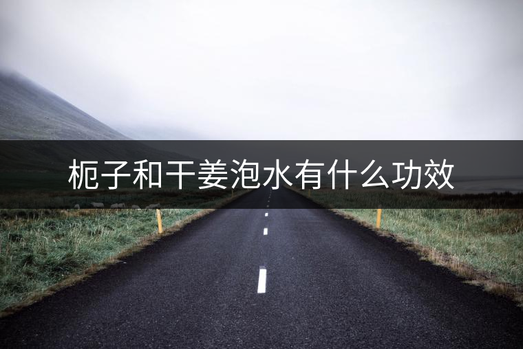 枙子和干姜泡水有什么功效 枙子和干姜泡水有什么功效