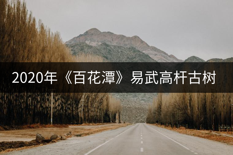 2020年《百花潭》易武高桿古樹茶中貴族-易武中聘號(hào) 2020年《百花潭》易武高桿古樹茶中貴族-易武中聘號(hào)