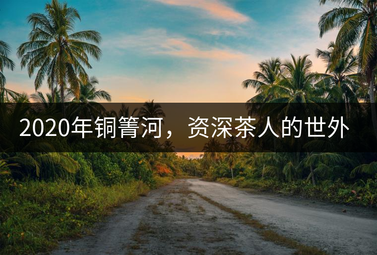 2020年銅箐河，資深茶人的世外桃源-易武-易武中聘號