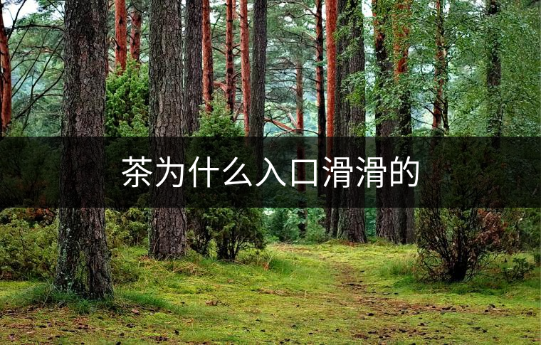 茶為什么入口滑滑的