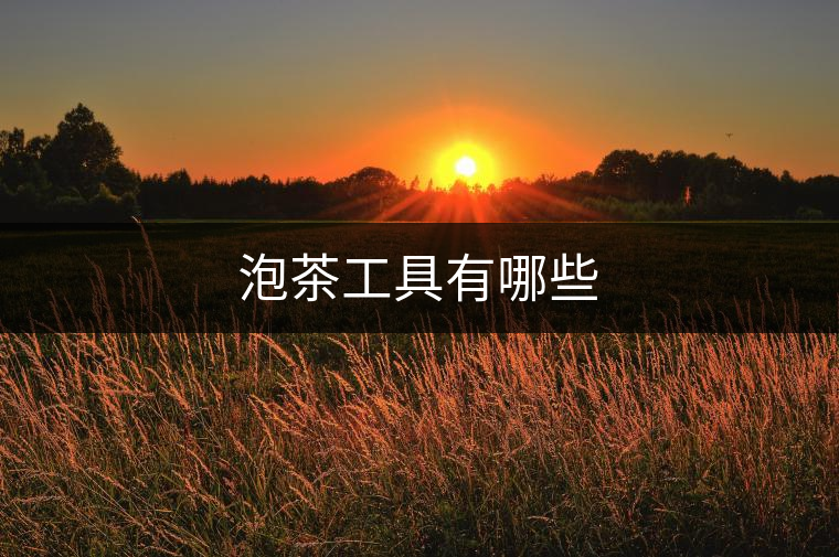泡茶工具有哪些 泡茶工具有哪些