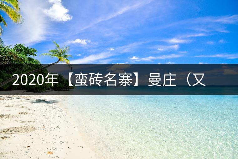 2020年【蠻磚名寨】曼莊（又作：蠻磚、曼磚）-易武中聘號