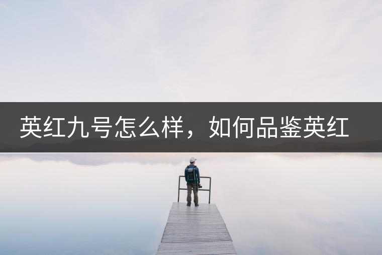 英紅九號怎么樣，如何品鑒英紅九號紅茶