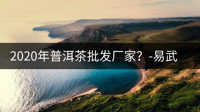2020年普洱茶批發(fā)廠家？-易武中聘號