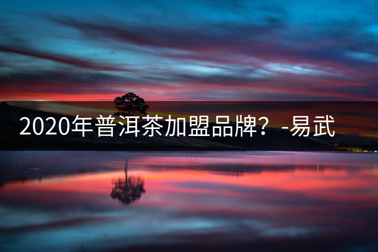 2020年普洱茶加盟品牌？-易武中聘號