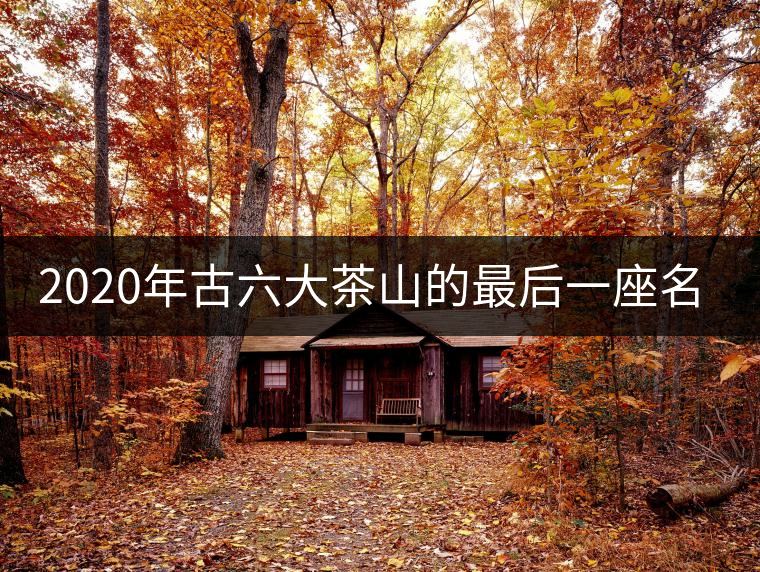 2020年古六大茶山的最后一座名山——攸樂山。-易武中聘號