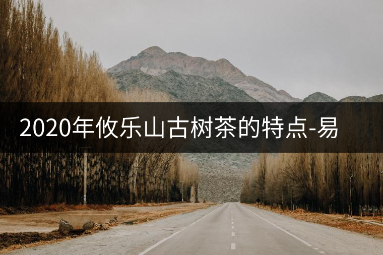 2020年攸樂山古樹茶的特點-易武中聘號 2020年攸樂山古樹茶的特點-易武中聘號