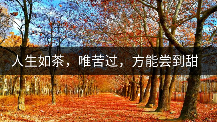 人生如茶，唯苦過，方能嘗到甜滋味
