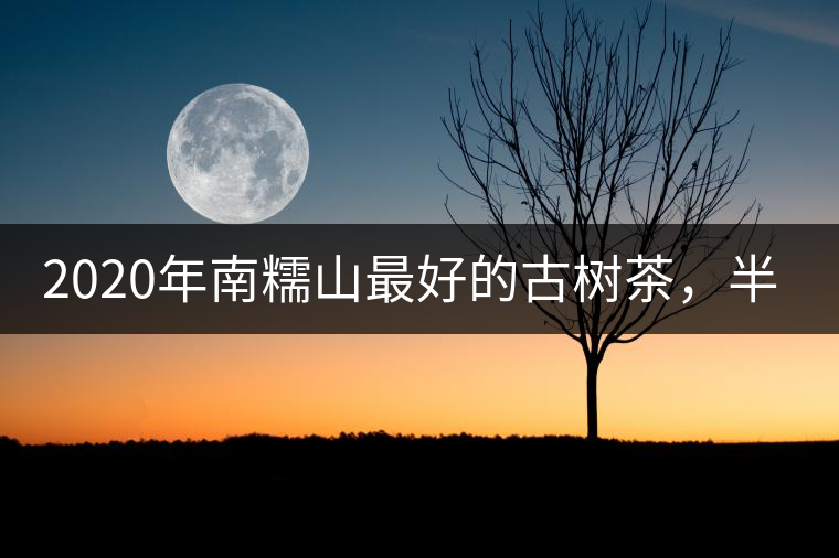2020年南糯山最好的古樹茶，半坡老寨！-易武中聘號
