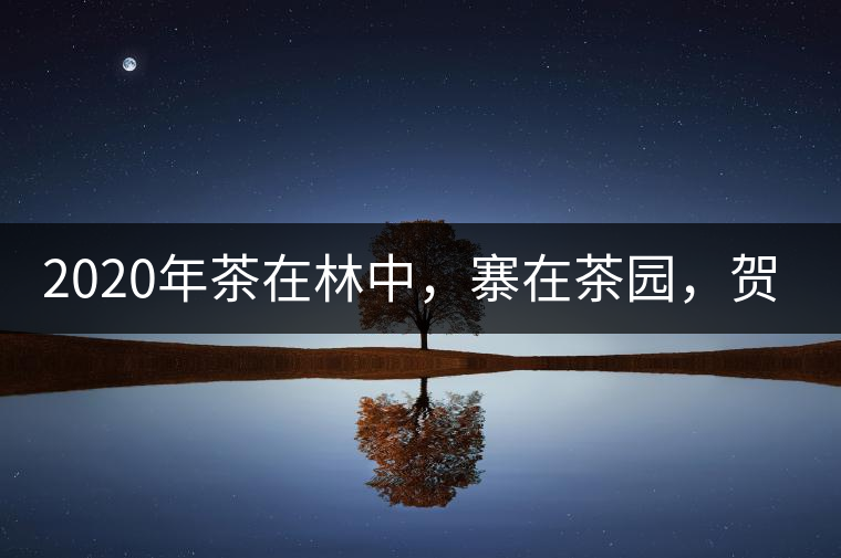 2020年茶在林中，寨在茶園，賀開(kāi)古樹(shù)茶-易武中聘號(hào)