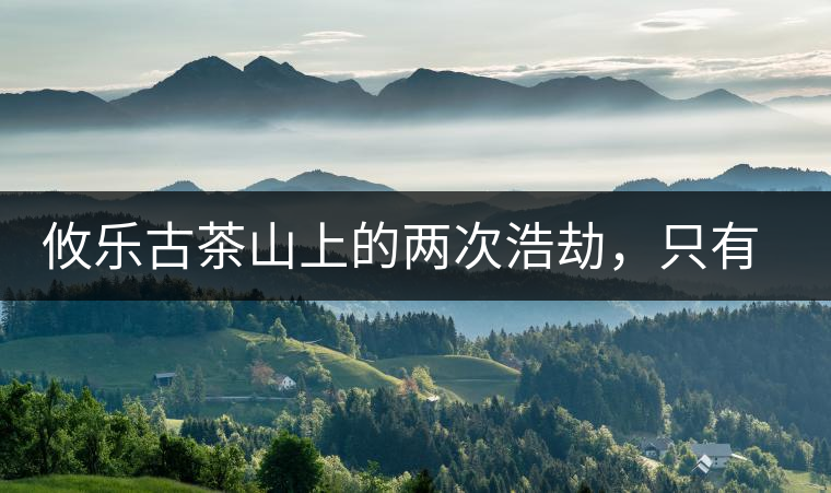 攸樂古茶山上的兩次浩劫，只有絕少部分的茶人解內(nèi)情