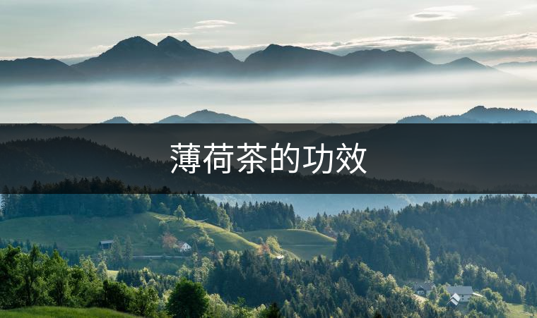 薄荷茶的功效