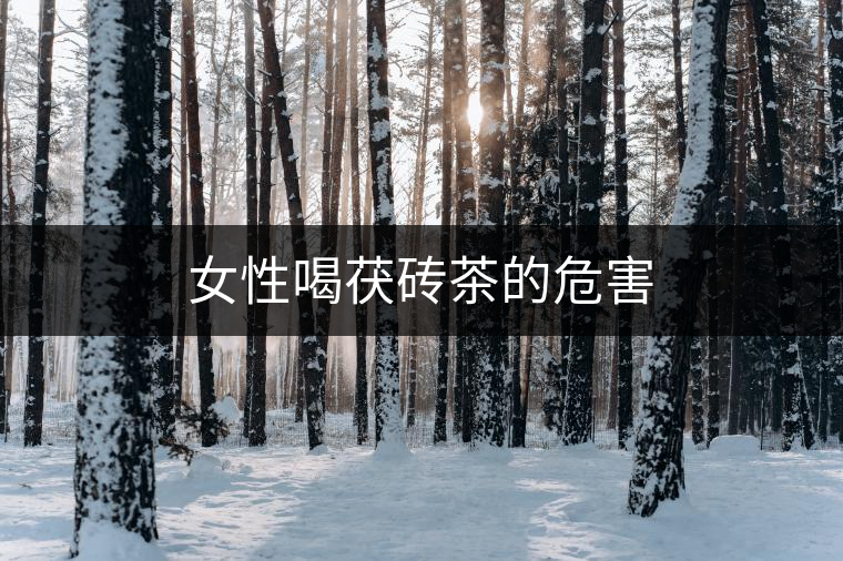女性喝茯磚茶的危害 女性喝茯磚茶的危害