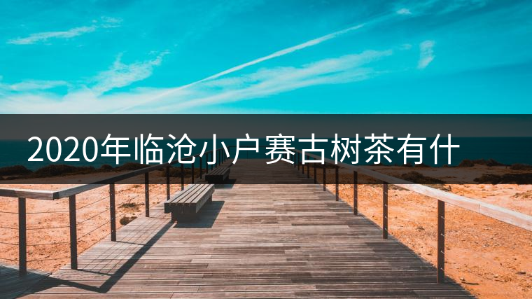2020年臨滄小戶賽古樹茶有什么特點(diǎn)？因何被稱為“賽冰島”？-易武中聘號(hào)