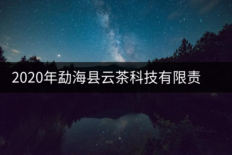 2020年勐海縣云茶科技有限責任公司簡介 2020年勐海縣云茶科技有限責任公司簡介