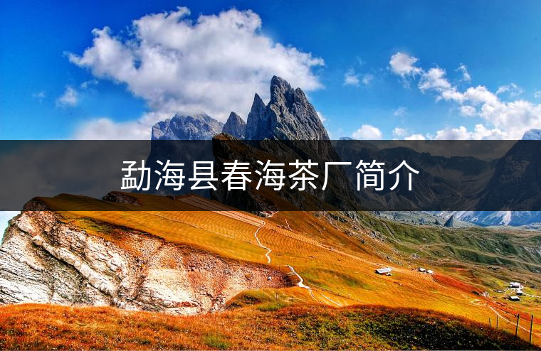 勐??h春海茶廠簡(jiǎn)介 勐海縣春海茶廠簡(jiǎn)介