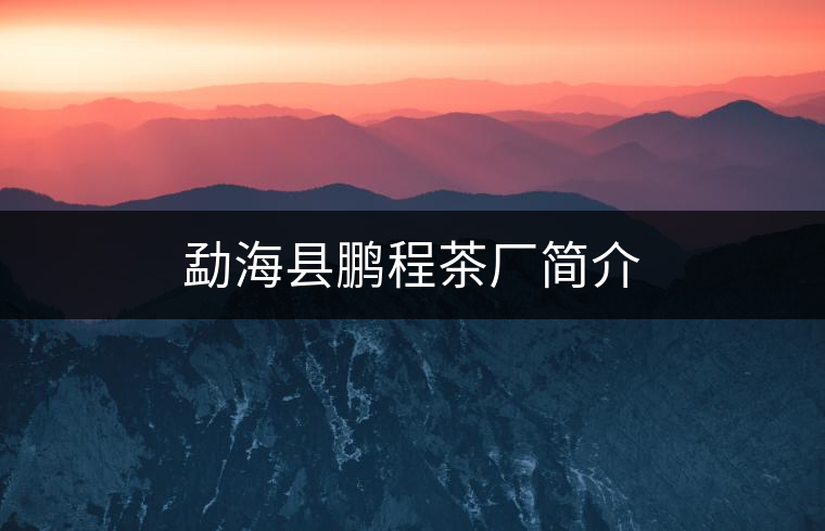 勐?？h鵬程茶廠簡介