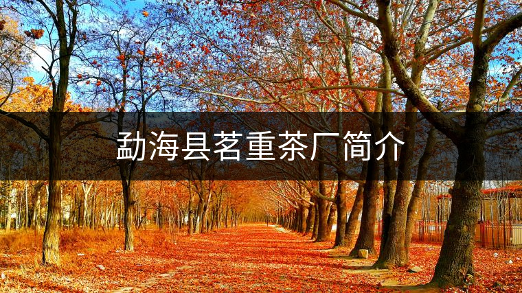 勐?？h茗重茶廠簡(jiǎn)介