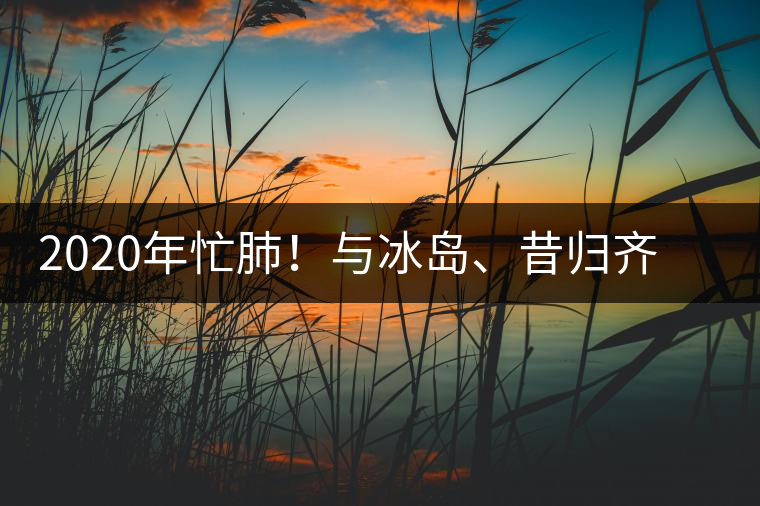 2020年忙肺！與冰島、昔歸齊名的普洱茶，到底是什么味道？-易武中聘號