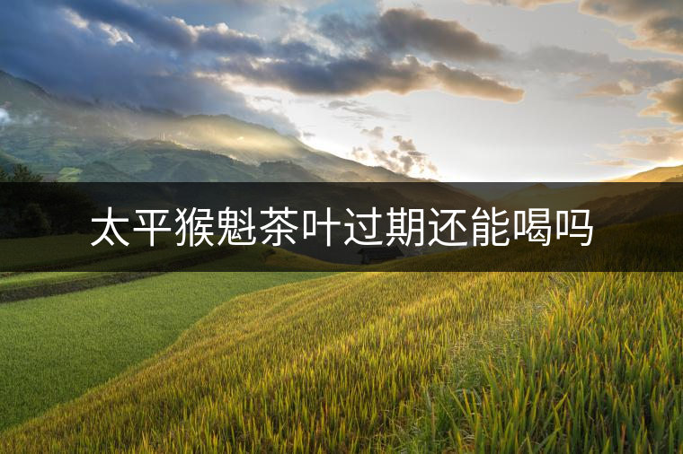 太平猴魁茶葉過(guò)期還能喝嗎