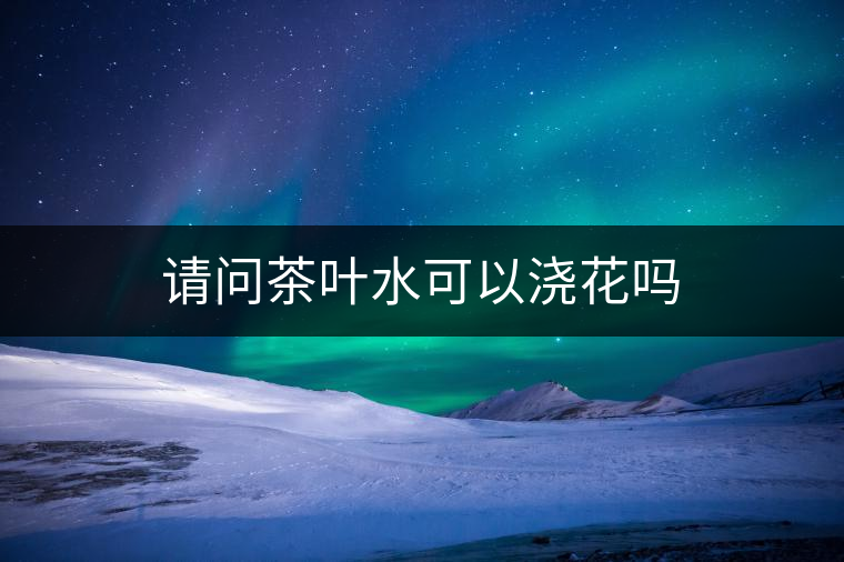 請(qǐng)問(wèn)茶葉水可以澆花嗎 請(qǐng)問(wèn)茶葉水可以澆花嗎