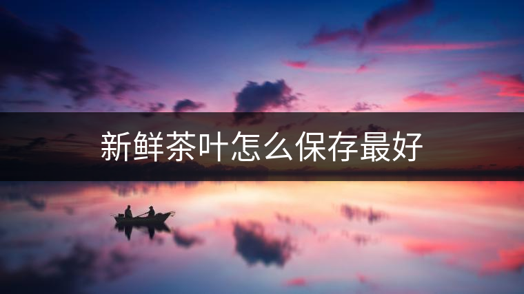 新鮮茶葉怎么保存最好 新鮮茶葉怎么保存最好