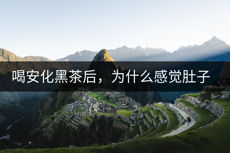 喝安化黑茶后，為什么感覺肚子餓的快？