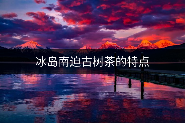 冰島南迫古樹(shù)茶的特點(diǎn)
