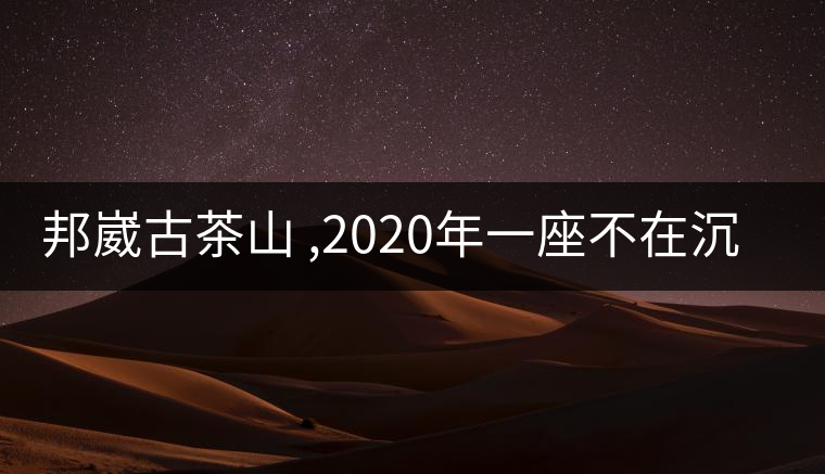 邦崴古茶山 ,2020年一座不在沉默的古茶山 !-易武中聘號 邦崴古茶山 ,2020年一座不在沉默的古茶山 !-易武中聘號
