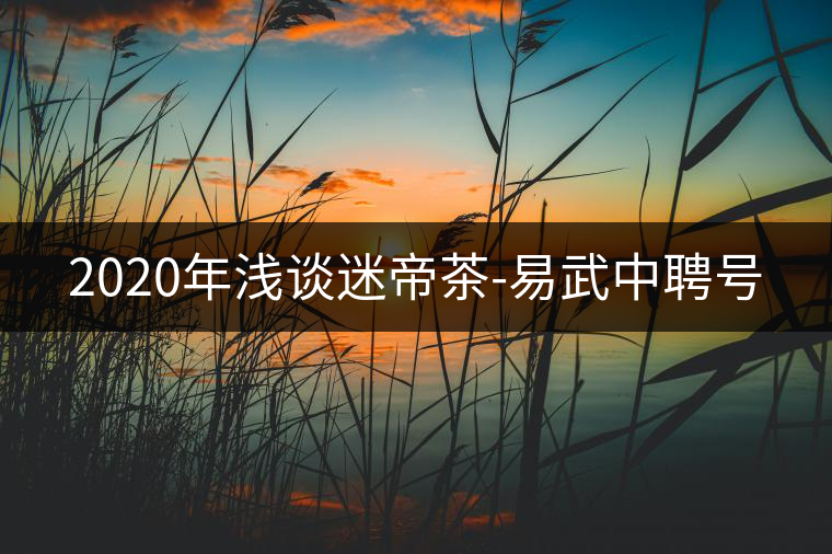 2020年淺談迷帝茶-易武中聘號(hào) 2020年淺談迷帝茶-易武中聘號(hào)