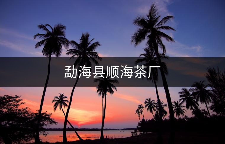勐??h順海茶廠 勐海縣順海茶廠
